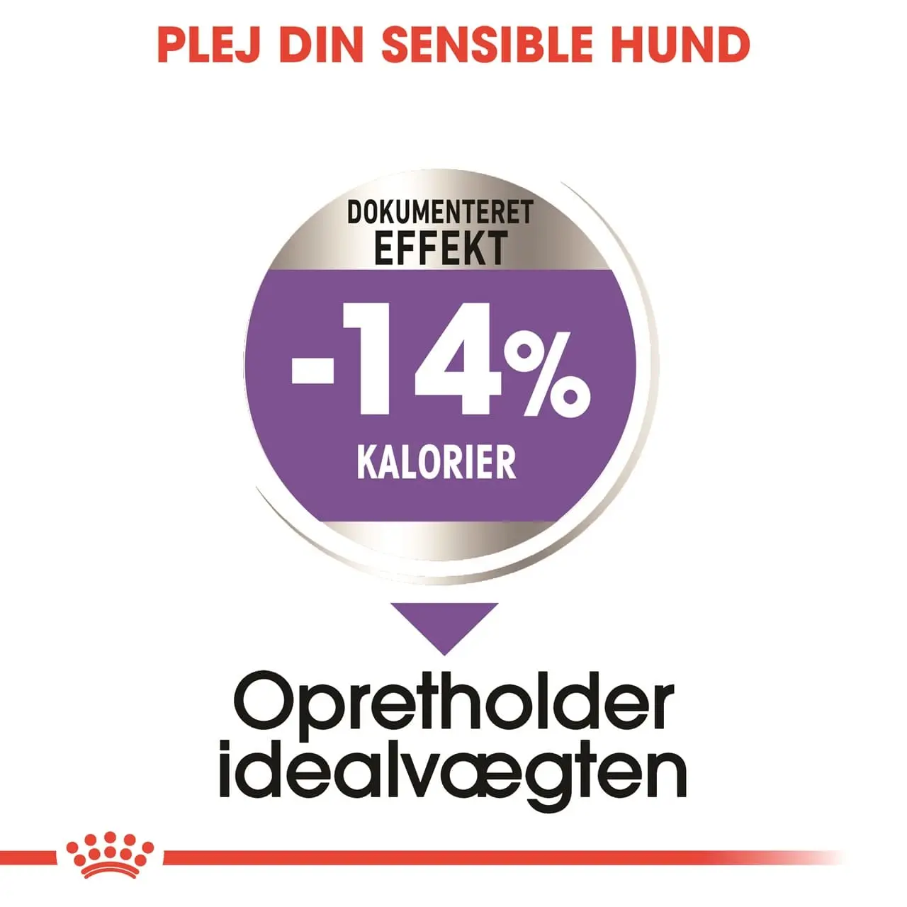 Royal Canin Mini Sterilised Adult 3 kg - hundefoder til små steriliserede hunde